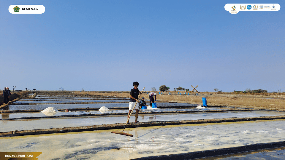 KKN 133 UIN Siber Cirebon mempelajari proses produksi garam di tambak Desa Gebang Mekar