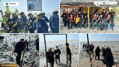 Mahasiswa KKN UIN Siber Cirebon dan IPB menanam mangrove di pesisir Desa Grogol