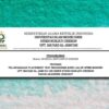 Pengumuman Pelaksanaan Placement Test Mahasiswa Baru Jalur SPMB Mandiri Tahun 2026