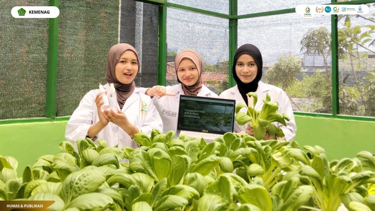 Inovatif! Mahasiswa UIN Siber Cirebon Rancang Kemasan Cerdas Pakcoy, Gabungkan Teknologi dan Informasi Halal