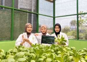 Inovatif! Mahasiswa UIN Siber Cirebon Rancang Kemasan Cerdas Pakcoy, Gabungkan Teknologi dan Informasi Halal