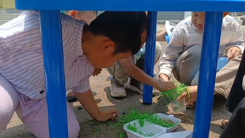 Dokumentasi Kegiatan